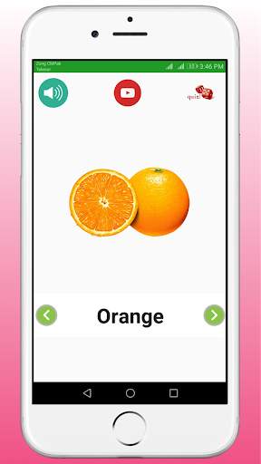 Kids Learning - Food Animal Color & Season Names screenshot 4