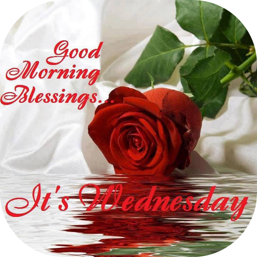 Good morning Flower Wallpapers Colorful Roses 4K आइकन