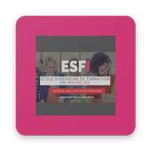 ESFI 1.0