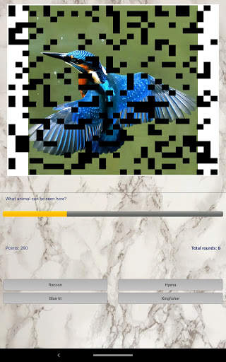 Photo Quiz screenshot 6