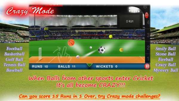 T20 Blast Cricket Flick 2016 screenshot 3