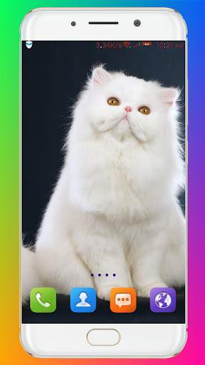 Cat Wallpaper HD screenshot 10