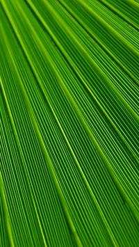 Moto G4 Play HD Wallpapers screenshot 4