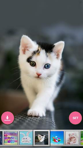 Cute wallpaper screenshot 2