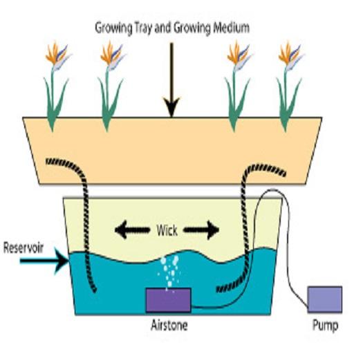 Digital Hydroponic System icon