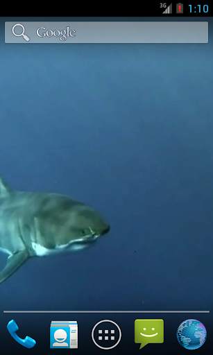 White Shark HD Video Wallpaper screenshot 3