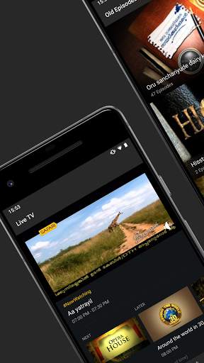 Safari TV screenshot 2