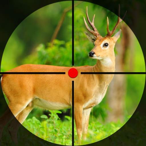 4x4 Safari Hunting Games 2021 1.0