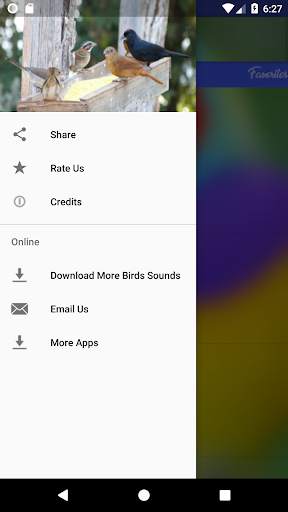 Birds Singing screenshot 5
