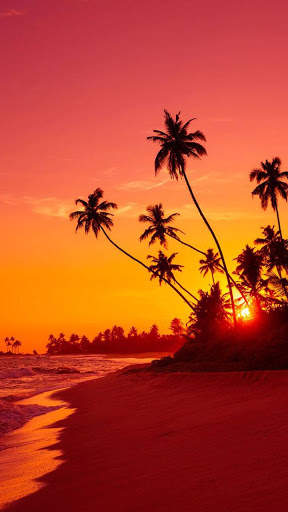Sunset HD Wallpapers screenshot 1