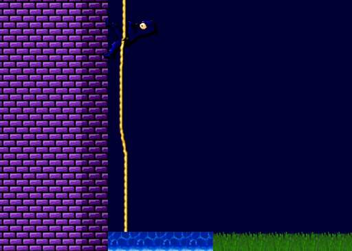 Ninja Run Nin screenshot 2