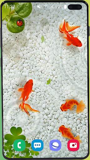 Fish Wallpaper HD screenshot 5