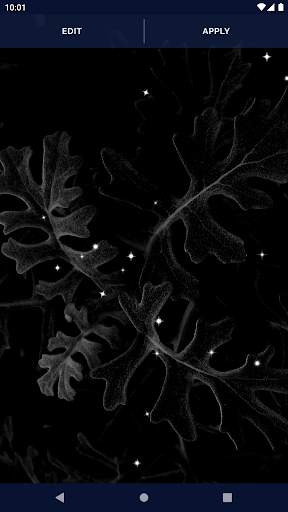 Black Live Wallpaper Dark Mode screenshot 7