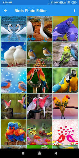 Bird Photo Frames Editor: DP, Quotes, Greeting screenshot 5