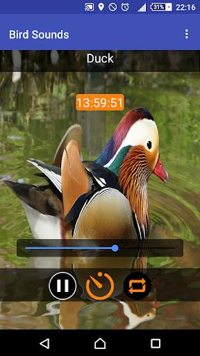 Relax & Sleep with Bird Sounds screenshot 7