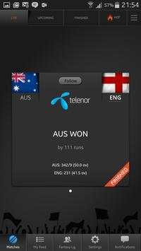 Telenor Cricket screenshot 3