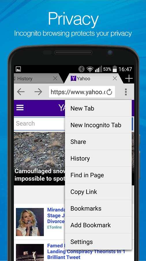 Jet Browser screenshot 4
