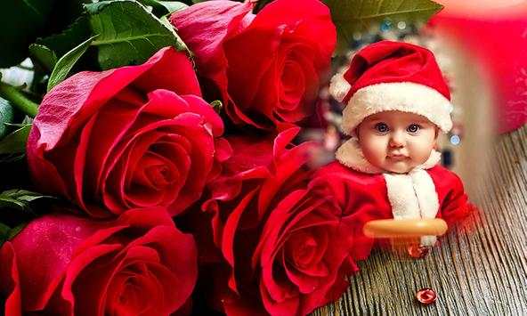 Red Rose Photo Frame скриншот 4