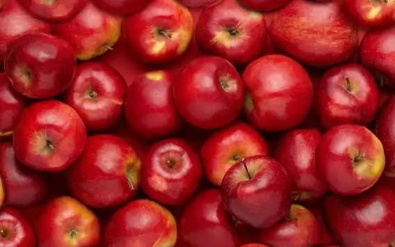 Red Apple Live Wallpaper screenshot 2
