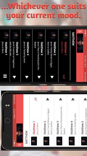 Simple AUDIO BIBLE - King James Version ( KJV) screenshot 4