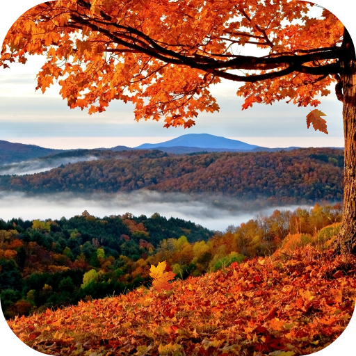 Autumn Live Wallpaper أيقونة