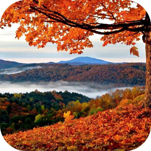 Autumn Live Wallpaper 2.0