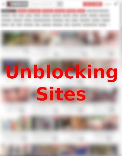 XNX Video Browser- Unblocking sites screenshot 2