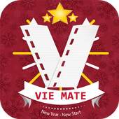 ViteMate Best Downloader Video 1.4