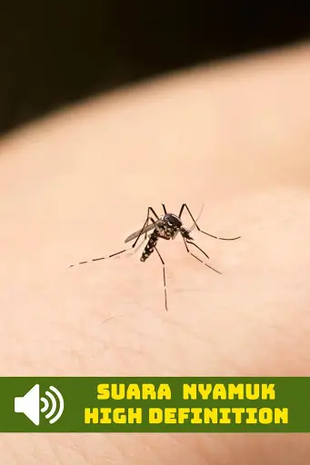 Suara Nyamuk HD screenshot 2