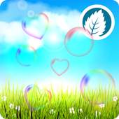 Spring Live Wallpaper 4.0