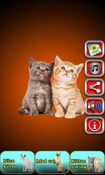 Talking Cat screenshot 6