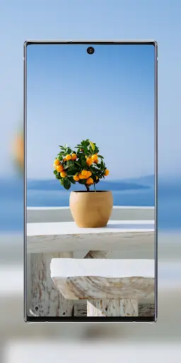 Wallpaper - Wallpaper HD screenshot 3