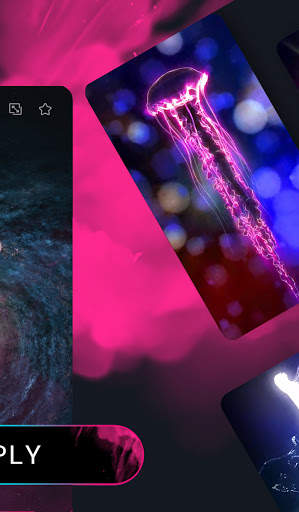 Fantasy Color Call Lite screenshot 2