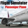 Flight Sim Passenger Plane icon