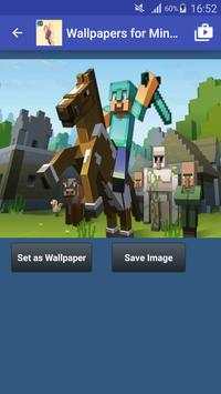 Wallpapers of Minecraft Hd screenshot 4