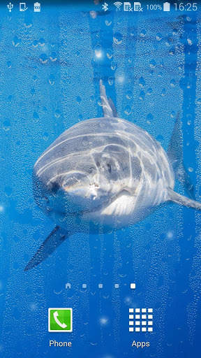 Shark Live Wallpaper screenshot 2