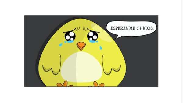 Chubby Bird screenshot 11