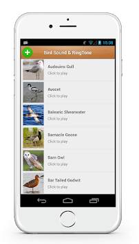 Bird Sound Song & Ringtone screenshot 1