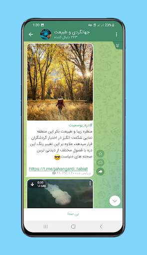 robik messenger screenshot 6