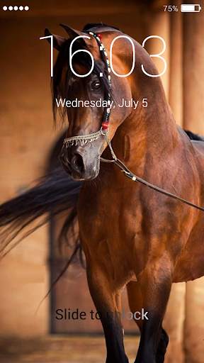 Horse Lock Screen 1 تصوير الشاشة