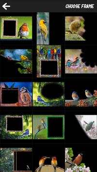 Bird Art Frames screenshot 2