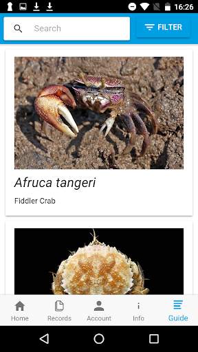 Crab Watch скриншот 3