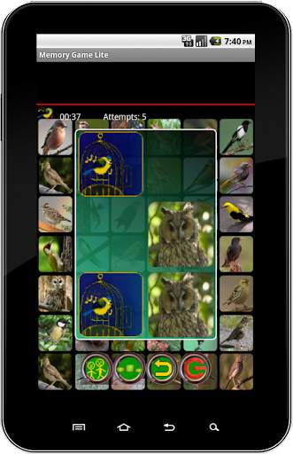 True Birds Memory Game Free स्क्रीनशॉट 9