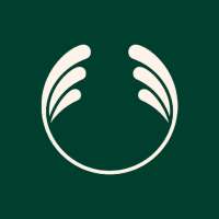 The body shop logo