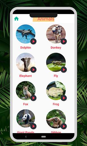 Animal & Bird Sounds : Ringtones स्क्रीनशॉट 5