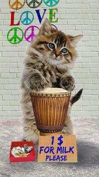 Funny cats Dancing and playing screenshot 9