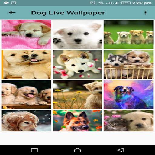 Dog Live Wallpaper screenshot 3