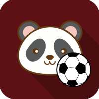 Panda prediction - World Cup Russia 2018 logo