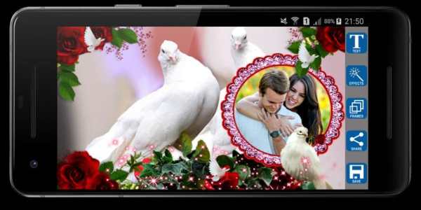 Love Birds Photo Frames screenshot 3