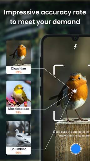 Bird identification: Picture bird identifier app screenshot 4